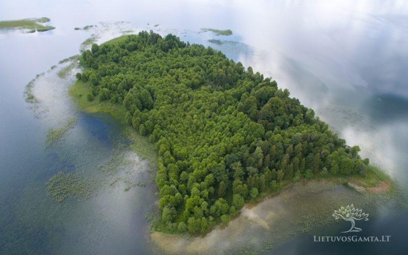 Platelių ežero salos